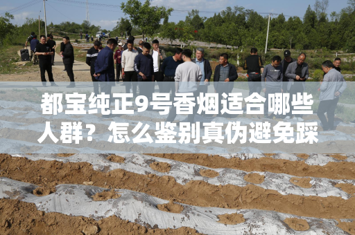 都宝纯正9号香烟适合哪些人群？怎么鉴别真伪避免踩坑？