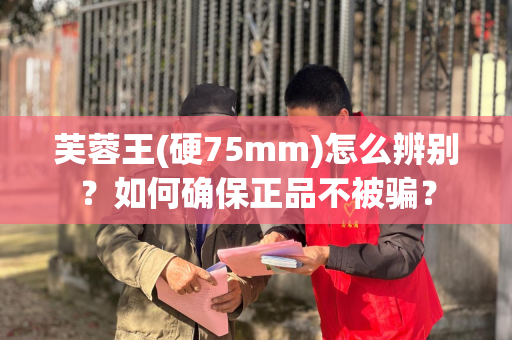 芙蓉王(硬75mm)怎么辨别？如何确保正品不被骗？